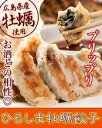 牡蠣餃子 20個入り 井辻食産 | 餃子 ぎょうざ 牡蠣餃子 牡蠣 かき 広島 n 