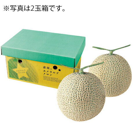 エメラルドメロン 2玉 高知県産(JA高知県) エメラルドメロン 2玉 高知県産(JA高知県)