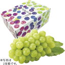 シャインマスカット 600g以上×2房 愛媛県産(JA愛媛たいき)