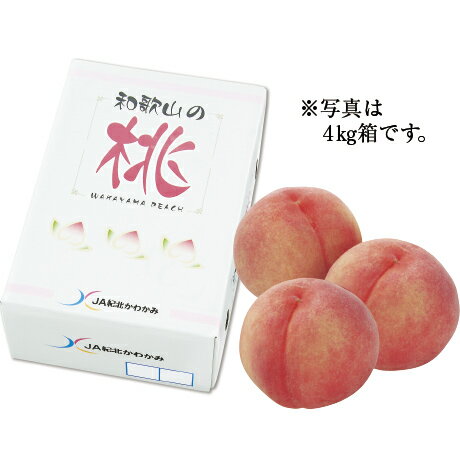 お中元 送料無料 和歌山県産(JA紀北かわかみ) もも 1.9kg(6〜8玉) お中元 送料無料 和歌山県産(JA紀北かわかみ) もも 1.9kg(6〜8玉)