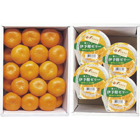 ハウスみかん＆伊予柑ゼリーのセット 愛媛県産