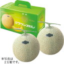 お中元 送料無料 静岡県産 マスクメロン 2玉