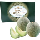 お中元 送料無料 千葉県産 貴味メロン 2玉