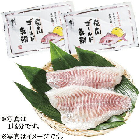 お中元 送料無料 愛媛県産 愛南ゴールド真鯛 半身