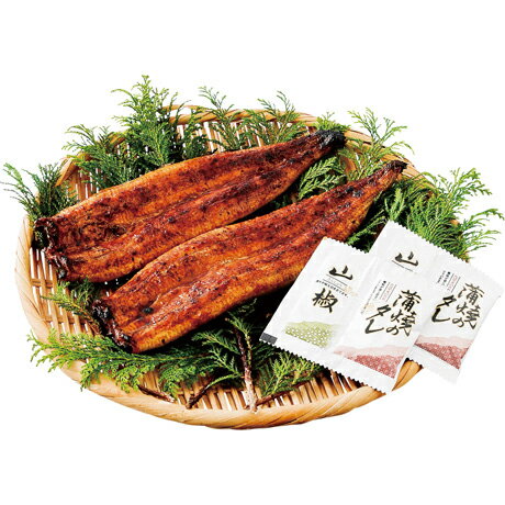 お中元 送料無料 鹿児島県産 うなぎ蒲焼（じっくり焼き）2尾 蒲2