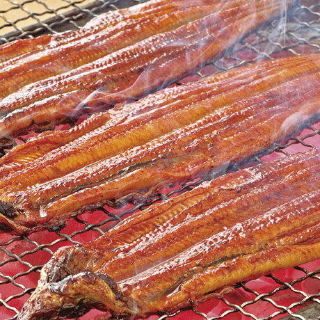 お中元 送料無料 鹿児島県産 うなぎ蒲焼（じっくり焼き）2尾 蒲2