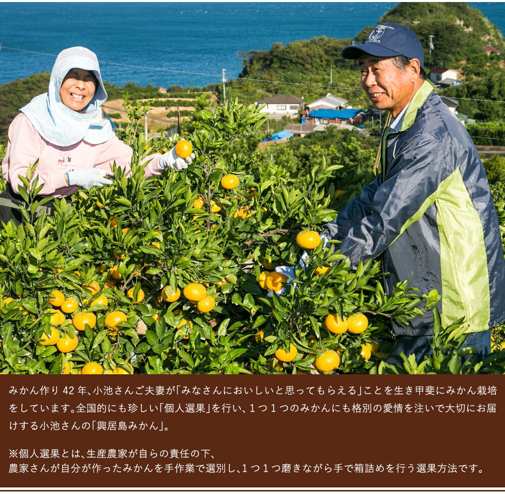 小池さんの せとか100％ジュース720ml×2本 愛媛県 興居島 (小池農園)（stk-211-89789) | みかんジュース ジュース フルーツジュース みかん せとか せとかジュース 720ml×2