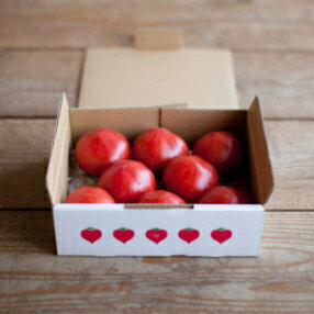 情熱ハート 1kg (たかしま農園) | 長崎 フルーティトマト tomato トマト 高糖度