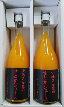 小池さんの せとか100％ジュース720ml×2本 愛媛県 興居島 (小池農園)（stk-211-89789) | みかんジュース ジュース フルーツジュース みかん せとか せとかジュース 720ml×2