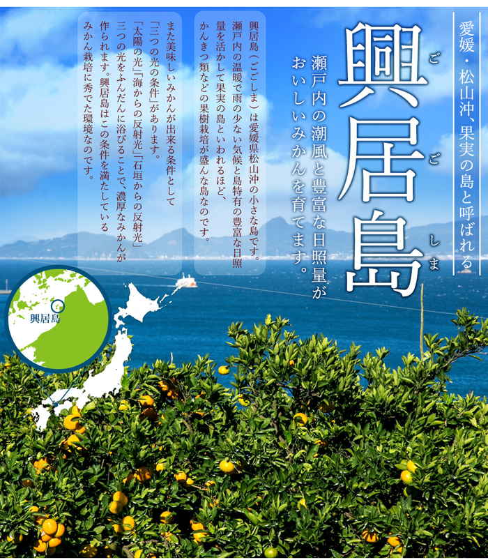 小池さんの せとかとなつみジュース 720ml×2本入り (小池農園)(stk-211-83279) | みかんジュース ジュース フルーツジュース みかん なつみ なつみジュース せとか せとかジュース 720ml×2