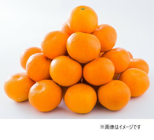 愛媛県興居島産 伊予柑 赤秀 4L 10kg(期日指定できません) いよかん 伊予柑 みかん ミカン フルーツ 愛媛 愛媛県産 ごごしま 興居島 mikan 贈答品 赤秀 4Lサイズ 10kg プレゼント 贈り物 食品 食べ物