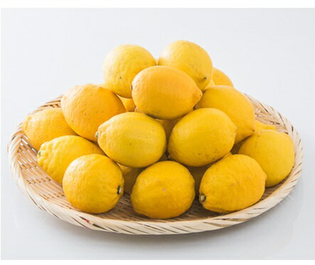 【期間限定販売】愛媛県中島産 レモン 2L-M サイズ 3kg（フジアグリフ－ズ）