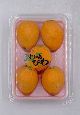 【産地取り寄せ商品】【期間限定販売】愛媛県産 びわ 5-6入 4パック | びわ 愛媛