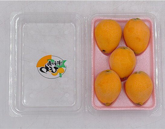 【産地取り寄せ商品】【期間限定販売】愛媛県産 びわ 5-6入 4パック | びわ 愛媛