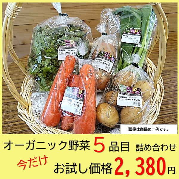 ˥åڵͤ碌åA5ܡ