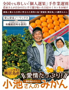 【予約販売】※11月12日~順次発送 小池さんのみかん ご家庭用 Lサイズ 5kg | 産地直送 愛媛県 興居島 早生
