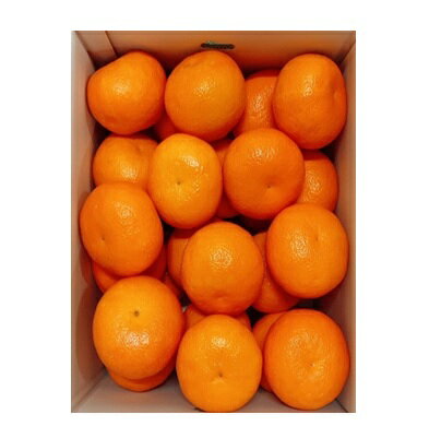 愛媛県興居島産 伊予柑 赤秀 4L 10kg(期日指定できません) いよかん 伊予柑 みかん ミカン フルーツ 愛媛 愛媛県産 ごごしま 興居島 mikan 贈答品 赤秀 4Lサイズ 10kg プレゼント 贈り物 食品 食べ物