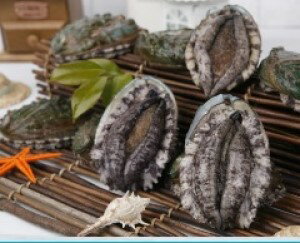   1kg(1215)(ڹ)(建)å ڹ   awabi
