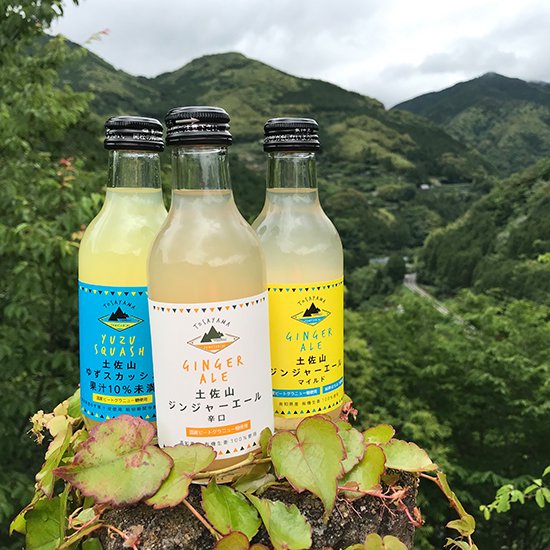 土佐山ドリンクアソート 3本セット (夢産地とさやま)|ジンジャーエール 飲み物 清涼飲料水 セット 高知 高知県 土佐 とさやま