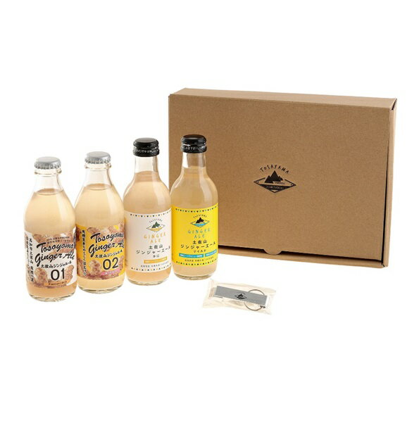 土佐山ジンジャーエール Old&New 飲み比べセット(夢産地とさやま)|ジンジャーエール 飲み物 清涼飲料水 セット 高知 高知県 土佐 とさやま