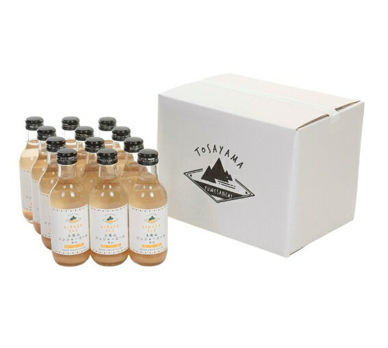 土佐山ジンジャーエール 辛口 12本 セット(夢産地とさやま)|ジンジャーエール 飲み物 清涼飲料水 セット 高知 高知県 土佐 とさやまのサムネイル