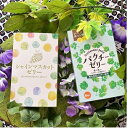パクチーゼリー+シャインマスカットゼリーセット(國和産業株式会社) | パクチー シャインマスカット ゼリー(4)