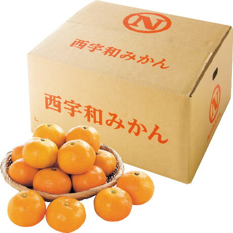 お歳暮 御歳暮 ギフト 贈り物 贈答 プレゼント ソーシャルギフト｜愛媛県産（JAにしうわ真穴共選） 真穴みかん M〜L・10kg(4)