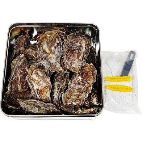 お歳暮 御歳暮 ギフト 贈り物 贈答 プレゼント ソーシャルギフト｜広島県漁業協同組合連合会 広島産かきのカンカン焼き H-KY16