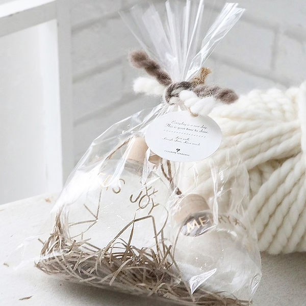 クリスマスギフト クリアボールオーナメント （2デザインセット） クリスマスツリー インテリア 雑貨 ディスプレイ 卓上 X'MAS 【クリスマスツリー】