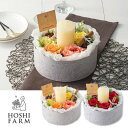ホシファーム 『薔薇のケーキでお祝いギフト』 キャンドル付き (カラフル・ルージュ)お菓子 スイーツ かわいい お取り寄せ ギフト プレゼント フラワーギフト 薔薇 お花のケーキ 【 記念日 誕生日 結婚祝い 結婚記念日 出産祝い 退職祝い 贈答品 洋菓子 】