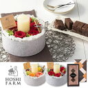 ホシファーム 『薔薇のケーキでお祝いギフト & ホテルオークラ ショコラケーキ』 キャンドル付き (カラフル・ルージュ) お菓子 スイーツ かわいい お取り寄せ ギフト プレゼント 【 記念日 誕生日 結婚祝い 結婚記念日 出産祝い 退職祝い 贈答品 】