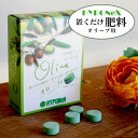 置くだけ簡単肥料 オリーブ用 ハイポネックス hyponex 園芸店推奨 4号 5号 6号 7号 8号 10号