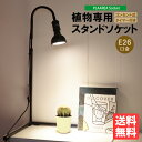 スタンドソケット PLAAREA socket E26 LED電球専用 正規取扱店 ゼンスイ 高さ伸縮可能 タイマー付き 植物用 送料無料 植物育成ライト