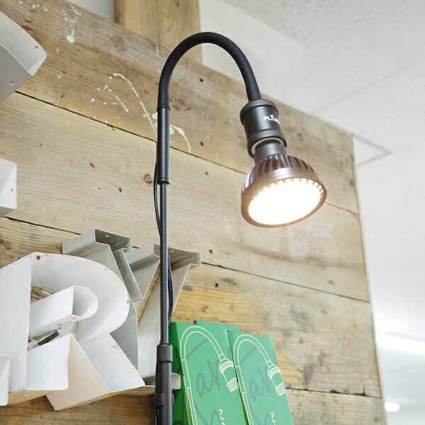 ������ɥ����å� PLAAREA socket E26 LED�ŵ����� �����谷Ź ���󥹥� �⤵���̲�ǽ �����ޡ��դ� ��ʪ�� ����̵�� ��ʪ�����饤��