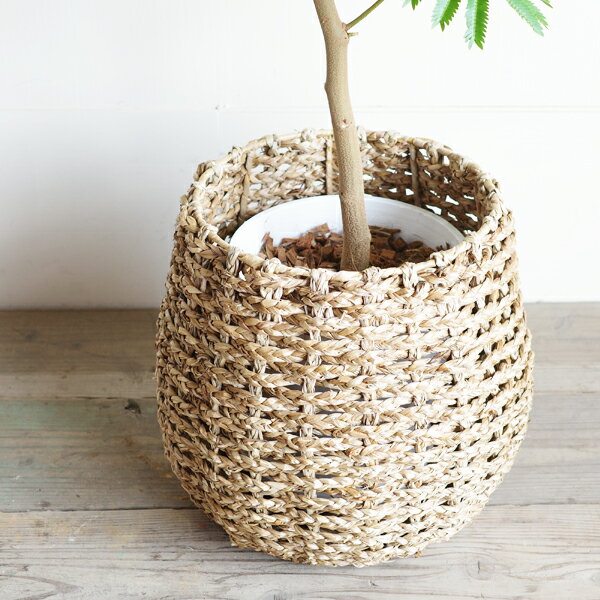 ȭ���С� 8�� 8��ȭ�����äݤ� ���ԤߥХ����å� ����̵�� ��ȭ�� 8��ȭ�� ����ƥꥢ���С� ���� �ϥ�ɥᥤ�� ���տ�ʪ ������� ����ƥꥢ