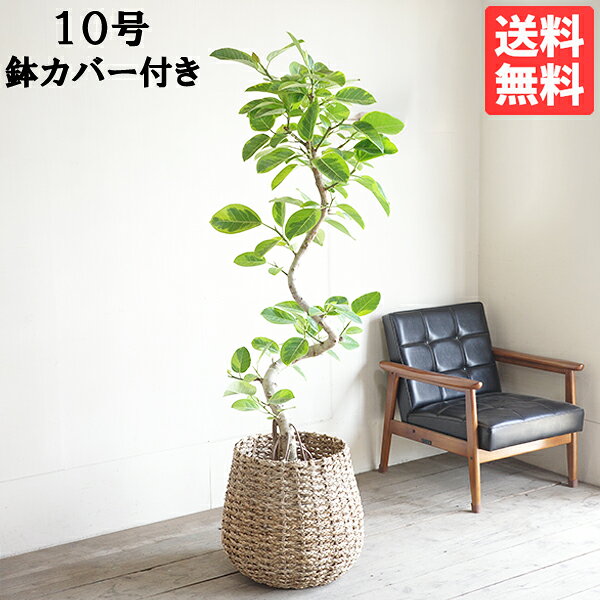 商品画像1