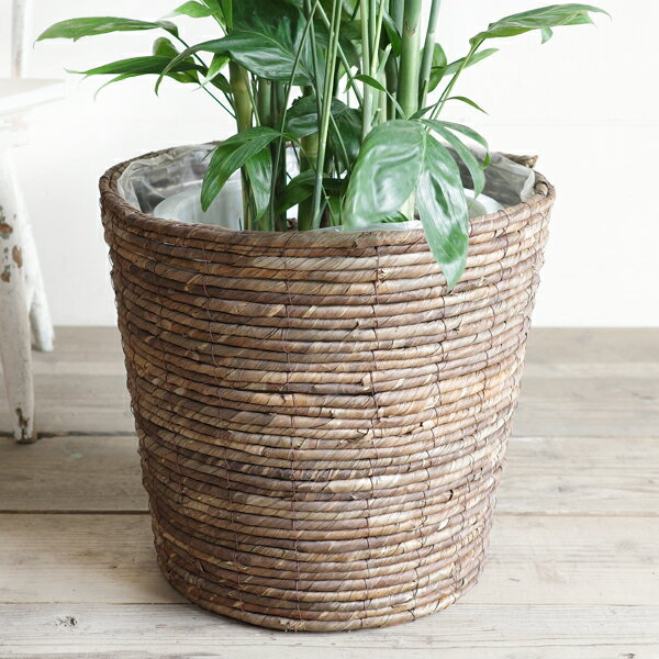 ȭ���С� 10�� �Хʥʥ꡼�� ����̵�� ��ȭ�� 10��ȭ�� ����ƥꥢ���С� ���� �ϥ�ɥᥤ�� ���տ�ʪ ������� ����ƥꥢ