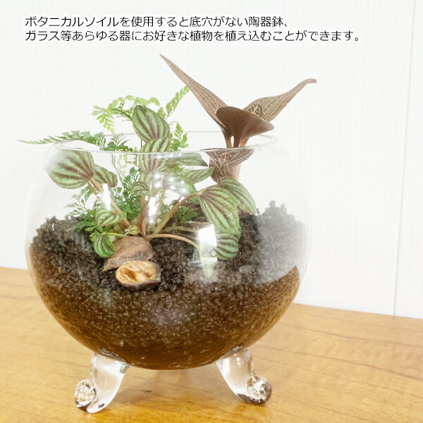 楽天市場 ボタニカルソイル 1ｌ ２袋 観葉植物 土 虫がわかない 室内 清潔 栄養 黒土 多肉 サボテン 用土 ２ｌ 送料無料 観葉植物のthe Green