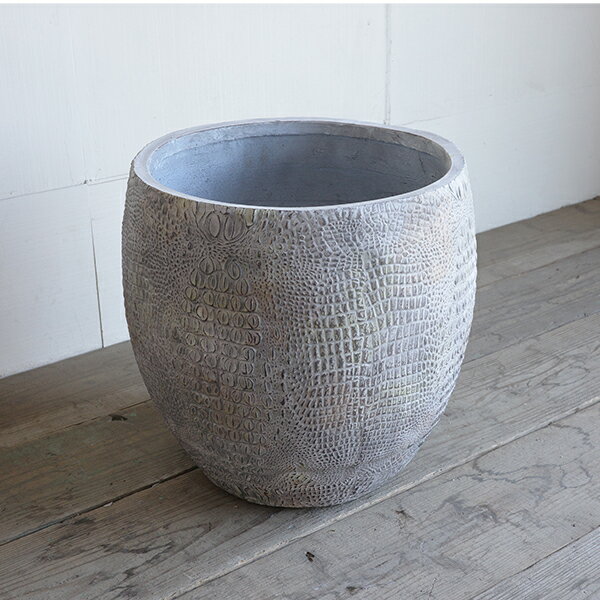 �ǥ����ʡ��� ���ȭ���С� �ե����С������� Ω������ ���å��奰�졼 ����̵�� ���տ�ʪ ������� ��ȭ �緿 ��ȭ 10��ȭ �祵���� �礭�������� ����ƥꥢ 10�� 10��ȭ�����äݤ� ��ȭ�� 10��ȭ�� ����ƥꥢ���С�