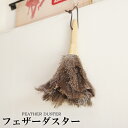 フェザーダスター 観葉植物 園芸 ほこり取り はたき ハンディ だちょう 送料無料