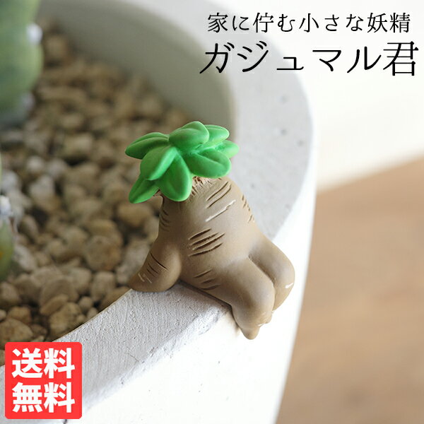 Rakuten - 家に佇む小さな妖精 ガジュマル君 鉢に座る 癒しのミニフィギュア 選べる がじゅまる