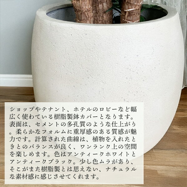 超人気 バルーン型 デザイナーズ 高級鉢カバー 観葉植物 おしゃれ 尺鉢 大型 大鉢 10号鉢 大サイズ 大きいサイズ インテリア 10号 10号鉢がすっぽり 大鉢用 10号鉢用 インテリアカバー ホ Autosmea Com 超人気 バルーン型 デザイナーズ 高級鉢カバー 観葉植物 おしゃれ 尺鉢 大型 大鉢 10号鉢 大サイズ 大きいサイズ インテリア 10号 10号鉢がすっぽり 大鉢用 10号鉢用 インテリアカバー ホ Autosmea Com