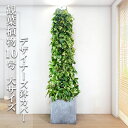 観葉植物 大型 法人様送料無料 ポトス 特大 タワー仕立て 10号 キューブ型 ファイバー樹脂製 高級鉢カバー付 アッシュグレー プレミアム おしゃれ 尺鉢 大...