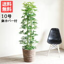 商品画像2