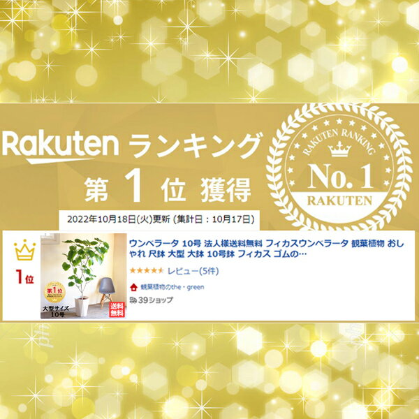 ����٥顼�� 10�� �緿 ���տ�ʪ ˡ��������̵�� �ե���������٥顼�� ������� ��ȭ ��ȭ 10��ȭ �ե����� ������� ����ƥꥢ �����١���