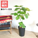商品画像3