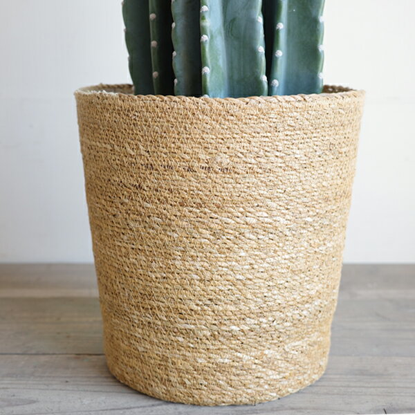 ȭ���С� 8�� ���餫������ ����̵�� ��ȭ�� 8��ȭ�� ����ƥꥢ���С� �ʥ����� ���տ�ʪ ������� ����ƥꥢ