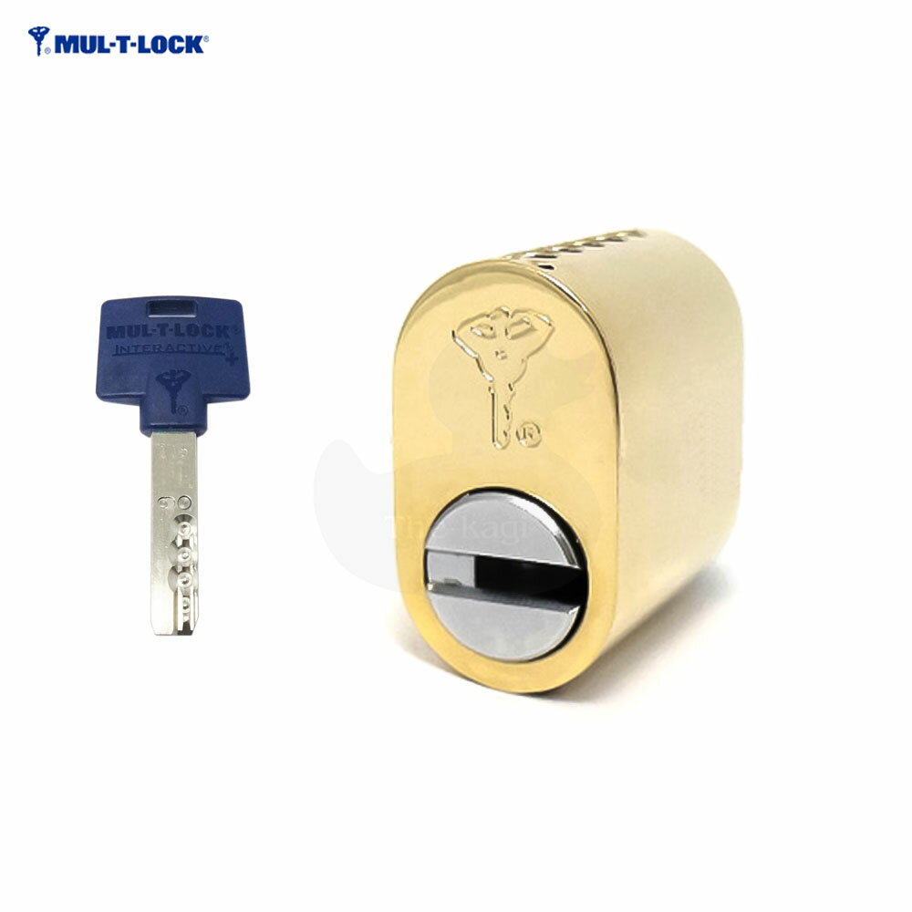 MUL-T-LOCK スカンジナビアタイプ 玄関ドア向け オーナーカード1枚付・キー3本付 外国製ドア 輸入住宅 SWEDOOR シリンダー【マルティロック 鍵部品】