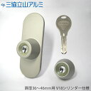 【当店限定!!毎日ポイント10倍】三協アルミ シリンダー PKD0224 扉厚36mm キー5本付 GOAL V18シリンダー仕様 エスタシアグランスタイル T...
