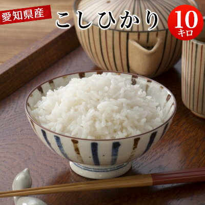 【新米販売開始！】 令和3年産 愛知県産 こしひかり 白米10kg 【送料無料※北海道・沖縄・一部離島を除く】